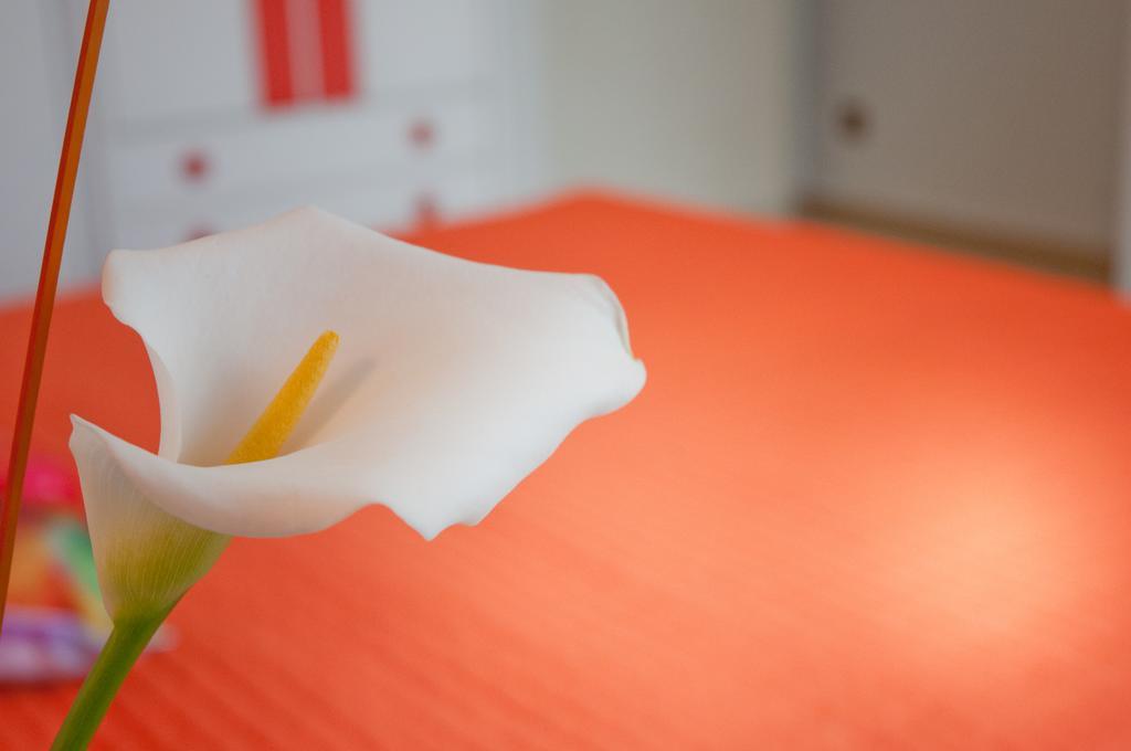 Albergo La Rosetta Кианчано Терме Екстериор снимка