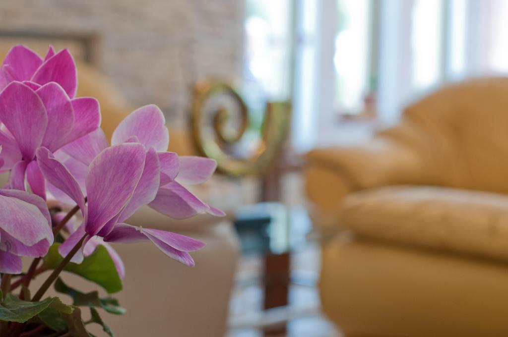 Albergo La Rosetta Кианчано Терме Екстериор снимка